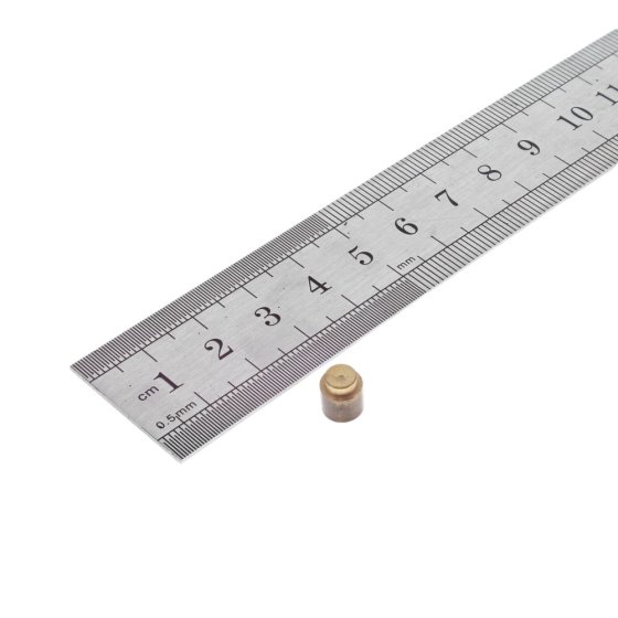 Governor Friction Plunger for Jap Models 4/3, 5, 6, 55 Industrial Engine - 18625/1