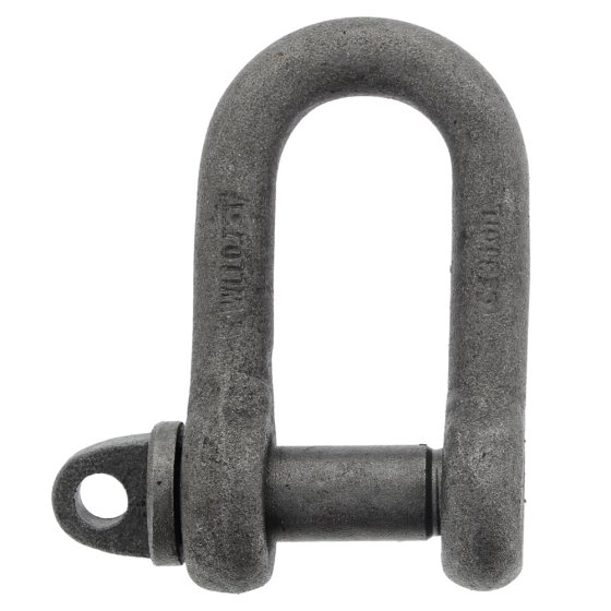 Alloy Steel D Lifting Shackles