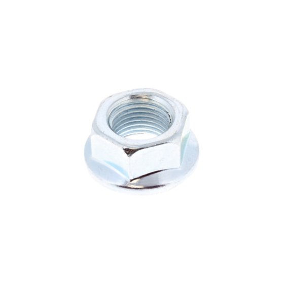 Nut Special for G240F C Shaft (242cc, 7hp) Engines - 380370050-0001