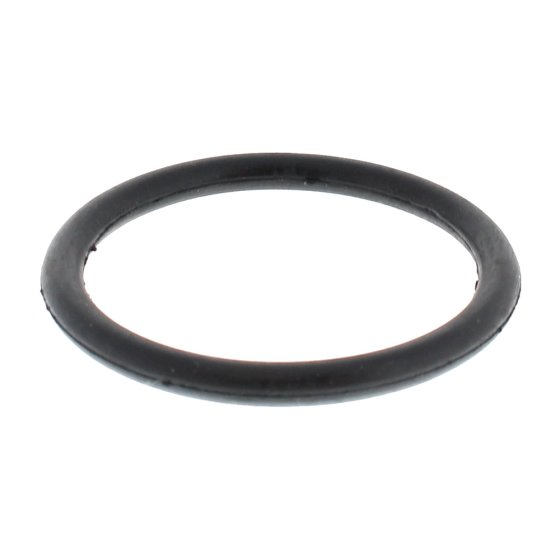 O Ring for Loncin LC50ZB23 Water Pump - 380840460-0001
