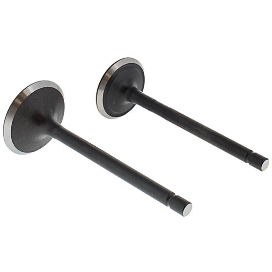 Valve Kit for Loncin LC186FD Engine - 500550040-0001