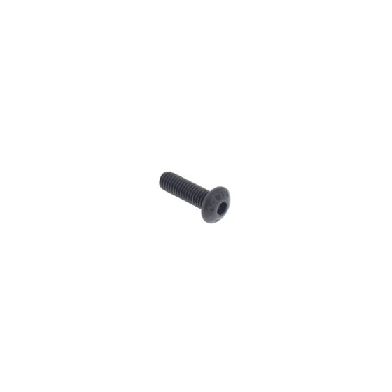 Screw