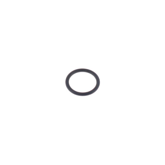 O-Ring for Karcher HDS 1000 BE Pressure Washer - OEM No. 6.362-575.0