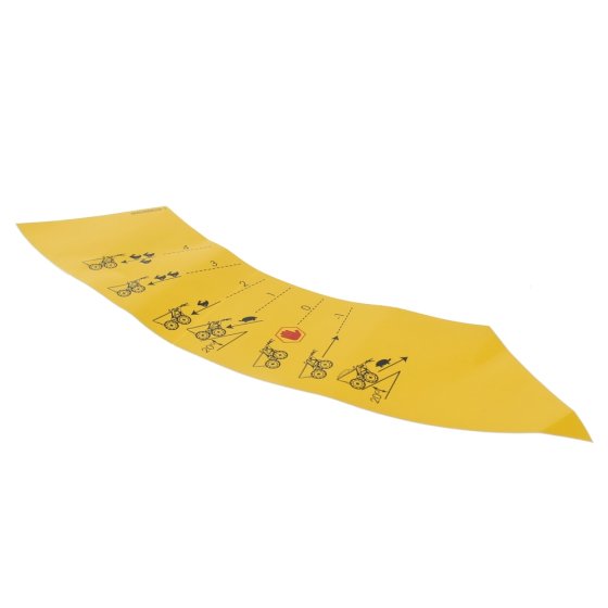 Gear Selector Decal for Belle BMD300 Minidumpers - Genuine Part - 800/99829