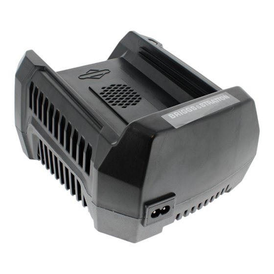 Battery Charger 220v - Genuine Briggs & Stratton - 1760264