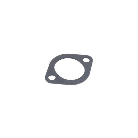 Gasket for Briggs & Stratton 170701 Engines - OEM No. 272554S