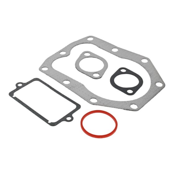 Gasket Set-Valve for Briggs & Stratton 255702, 255707, 256702 Engines - OEM No. 498539