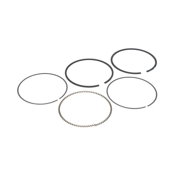 Ring Set - Briggs & Stratton - 592660