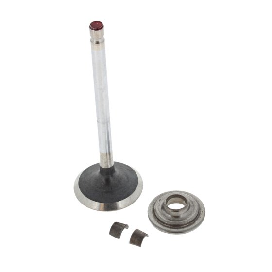 Valve-Exhaust for Briggs & Stratton 44T977-0009-G1 25 HP Series Engines - 793557