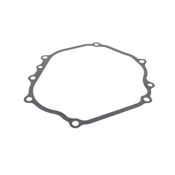 Crankcase Gasket for Briggs & Stratton Engine - OEM No. 797789