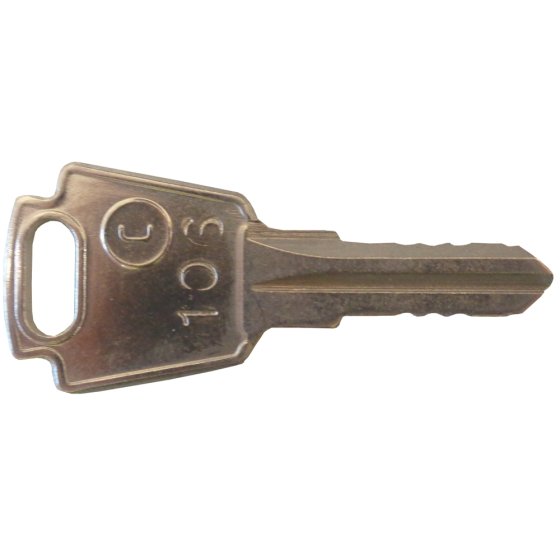 Replacement Plant Key - C106 - Sold Individually