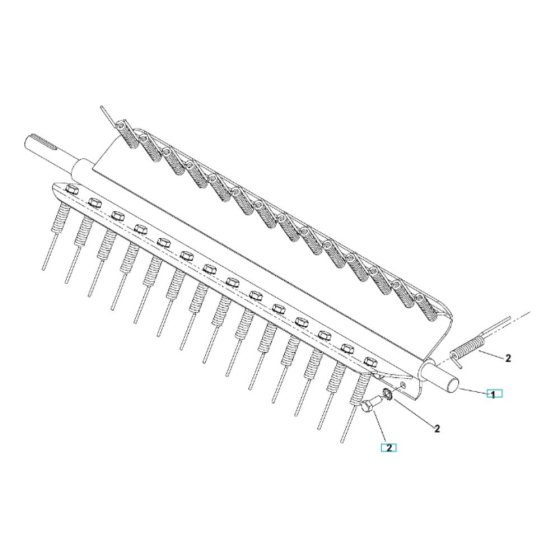 Spring Tine Assembly