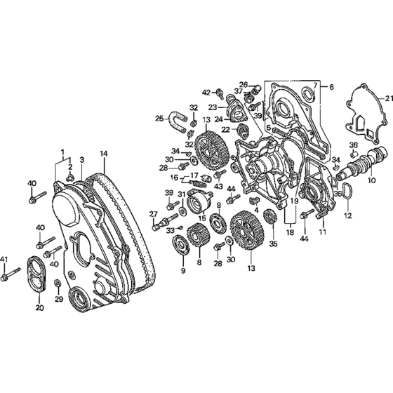 Timing Belt & Water Pump Assembly