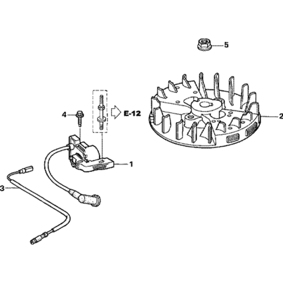 Flywheel/Ignition Coil Assembly