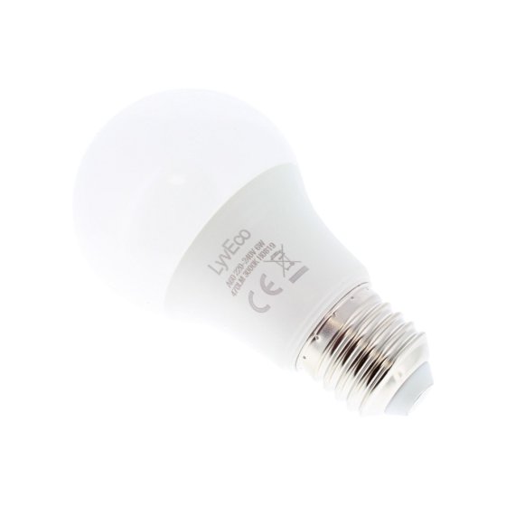 LED GLS 6w ES 220-240v 480 Lumens Warm White Bulb Light Bulb