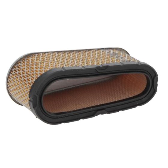 Filter Cartridge fits Briggs & Stratton Engine - Replaces 496894S