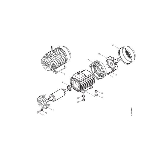 Motor Assembly for Nilfisk