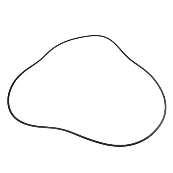 Hub O-Ring Thwaites Mach 166 - No. T51882