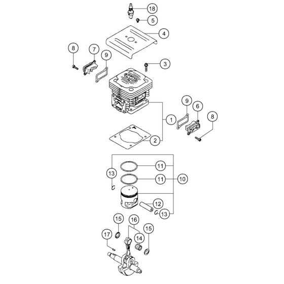 Cylinder & Crankshaft for Tanaka
