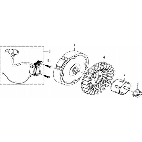 Ignition System for Husqvarna TF 230