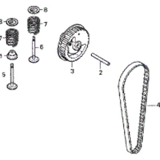Camshaft & Belt Assembly