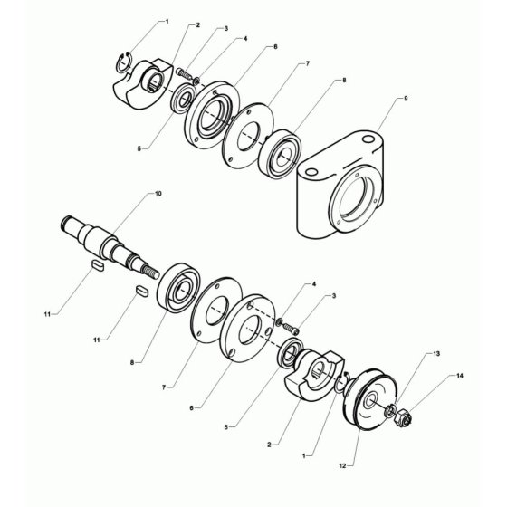 Exciter Assembly for Wacker