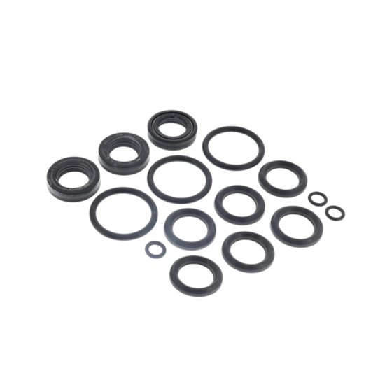 CAT 45 Pump Seal Kit