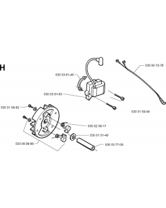 Ignition System for MONDO Edger