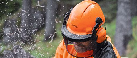 Stihl PPE